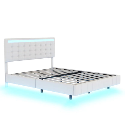 Queen Size Floating Bed Frame with LED Lights and USB Ports